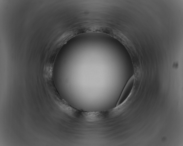 X0000097770191200803071326