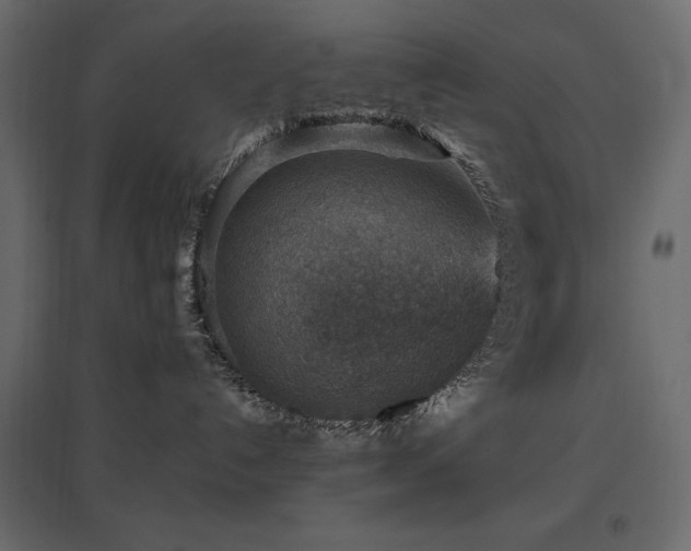 X0000097770192200803071326
