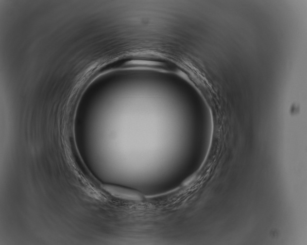X0000097770193200803071325