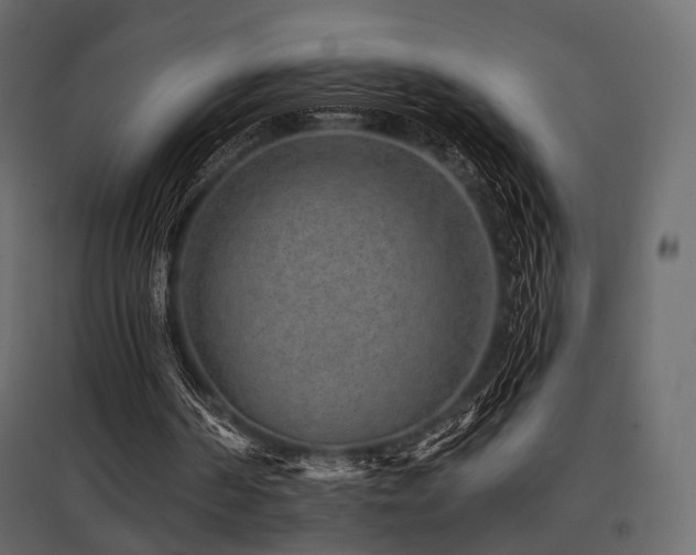 X0000097770194200803071325