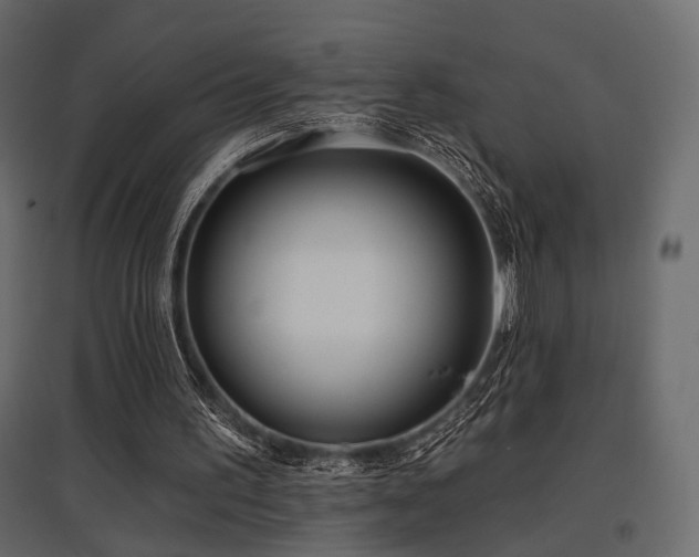 X0000097770195200803071325