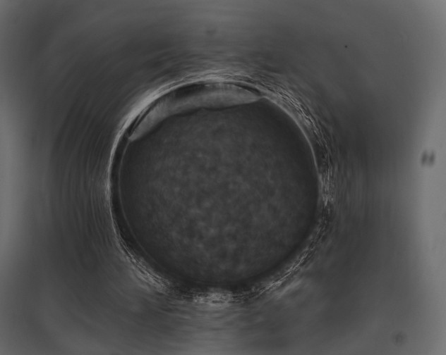 X0000097770196200803071325