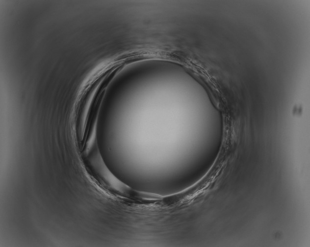 X0000097770197200803071325