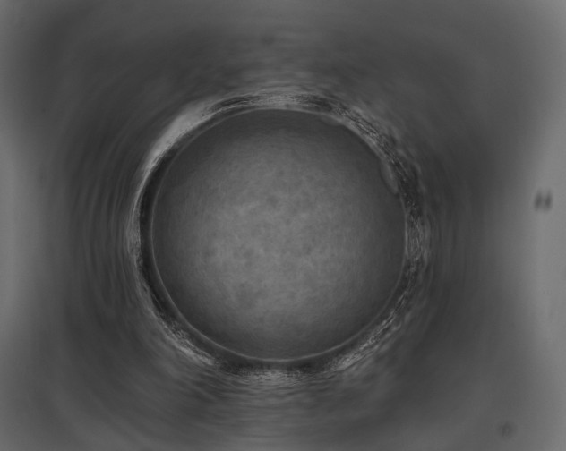 X0000097770198200803071325
