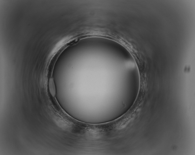 X0000097770199200803071325