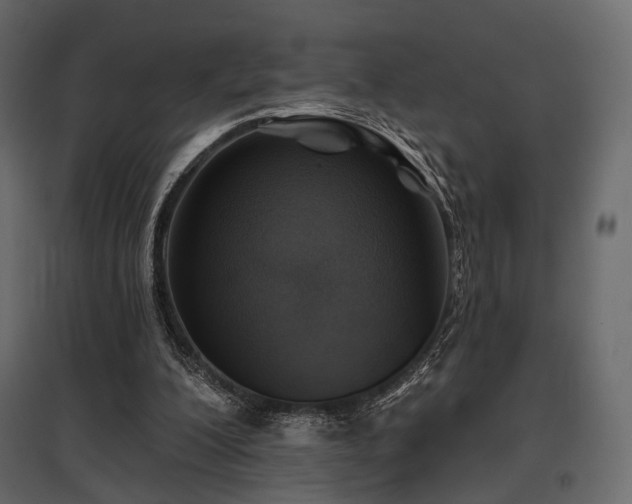X0000097770200200803071325