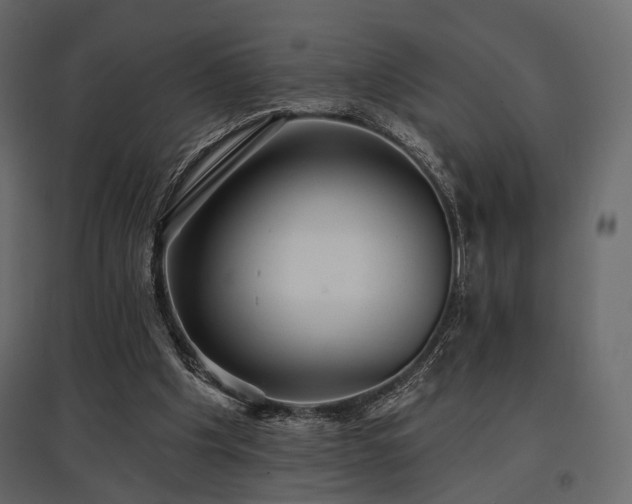 X0000097770201200803071325