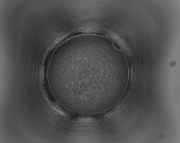 X0000097770202200803071325