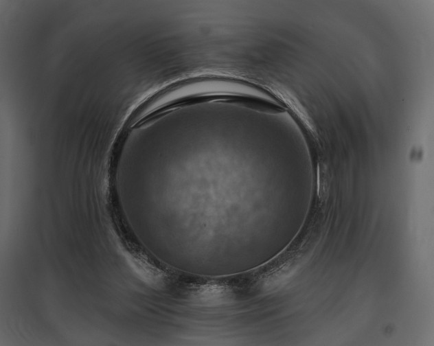 X0000097770204200803071325