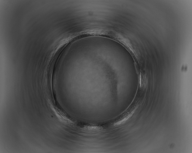 X0000097770205200803071325