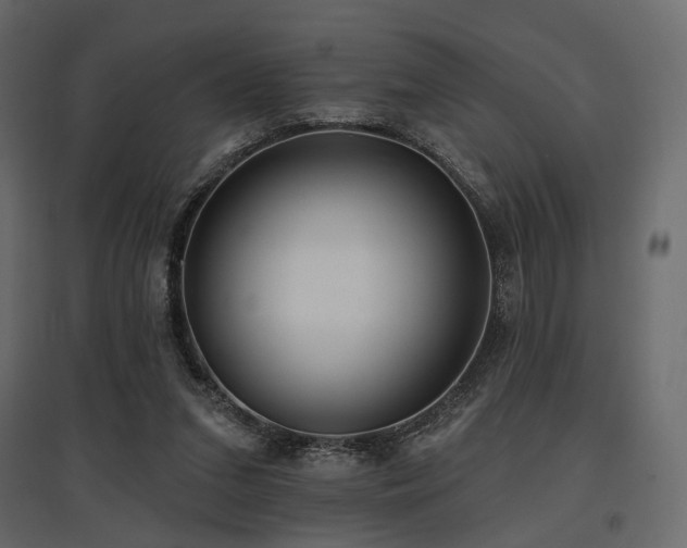 X0000097770207200803071325
