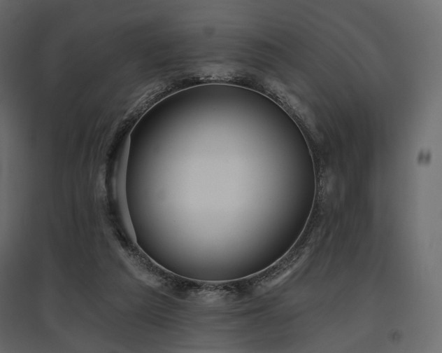 X0000097770209200803071325