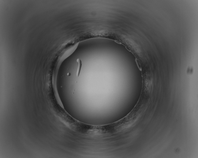 X0000097770211200803071325