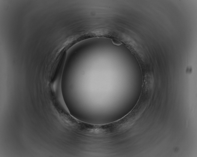 X0000097770212200803071325