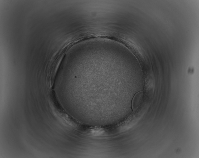 X0000097770214200803071325