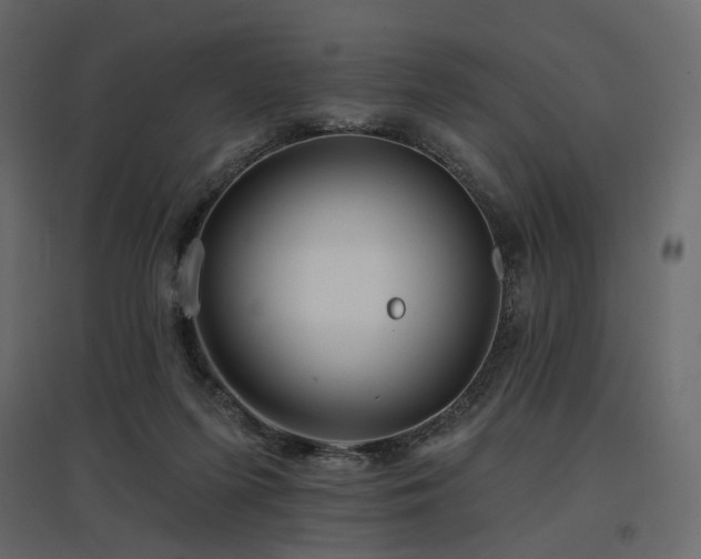 X0000097770215200803071325