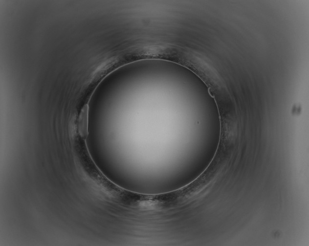 X0000097770216200803071325