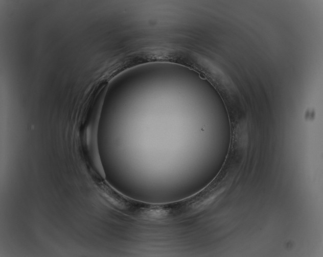 X0000097770217200803071325