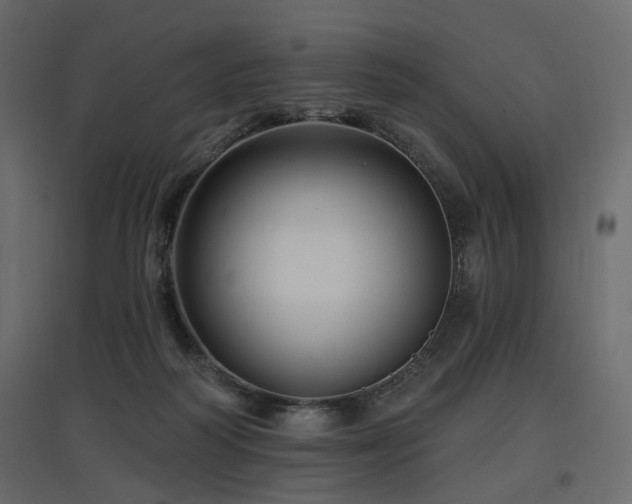 X0000097770218200803071325