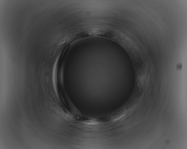 X0000097770219200803071325