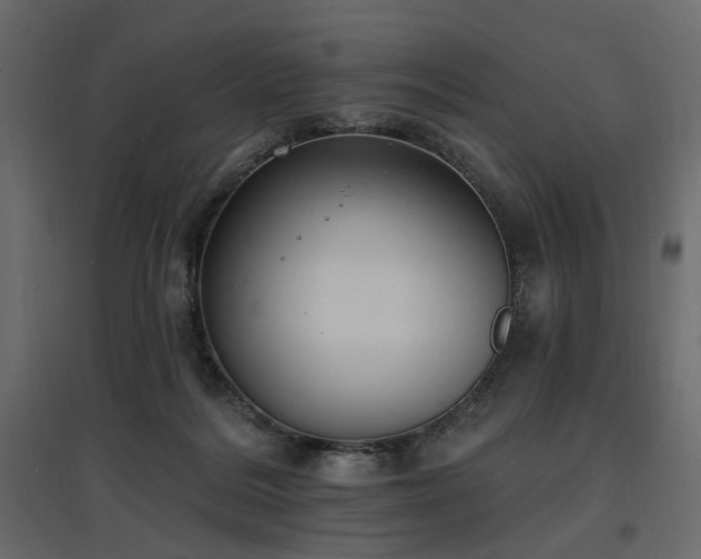 X0000097770220200803071325