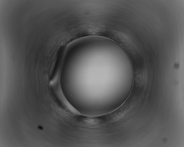X0000097770221200803071325