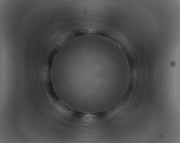 X0000097770222200803071325