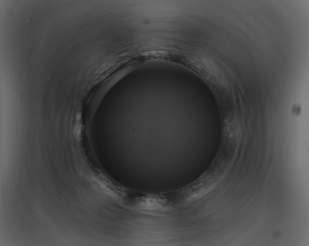 X0000097770223200803071325