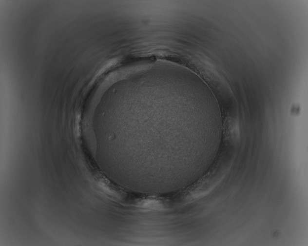 X0000097770224200803071325