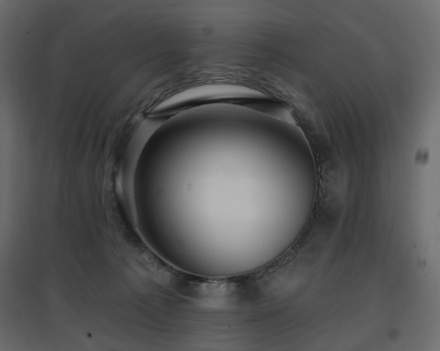 X0000097770225200803071325