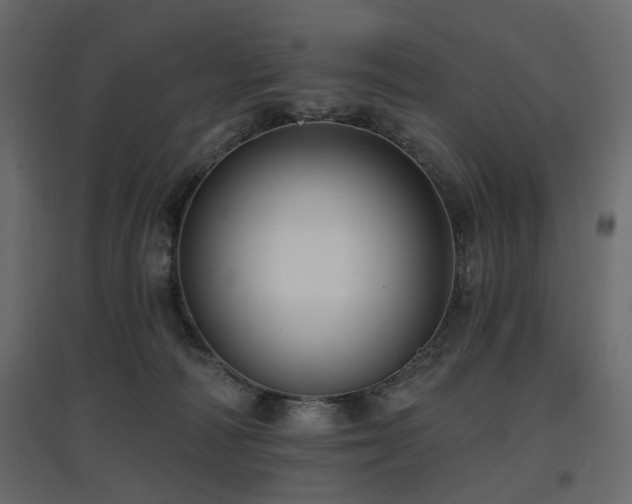 X0000097770226200803071325