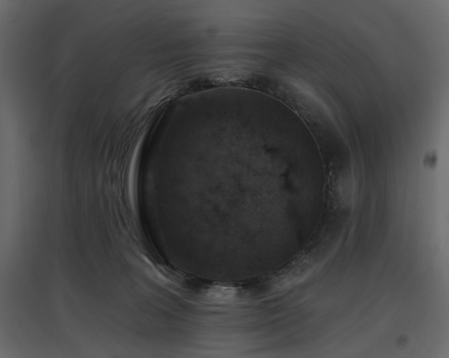 X0000097770227200803071325