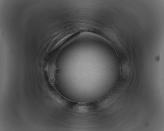 X0000097770228200803071325