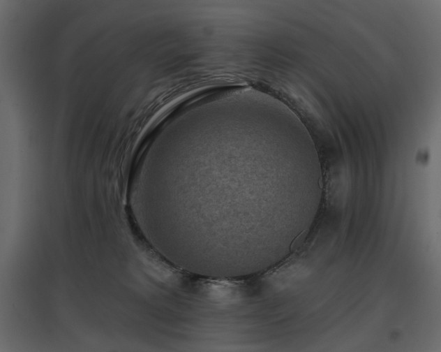 X0000097770229200803071325