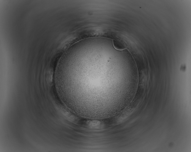 X0000097770230200803071325