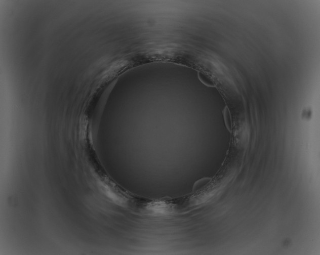 X0000097770231200803071325