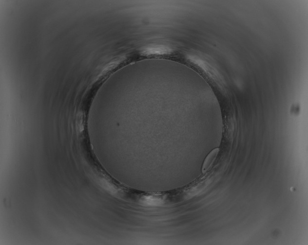 X0000097770232200803071325