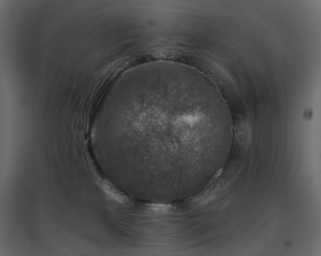 X0000097770233200803071325