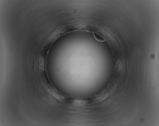 X0000097770234200803071324