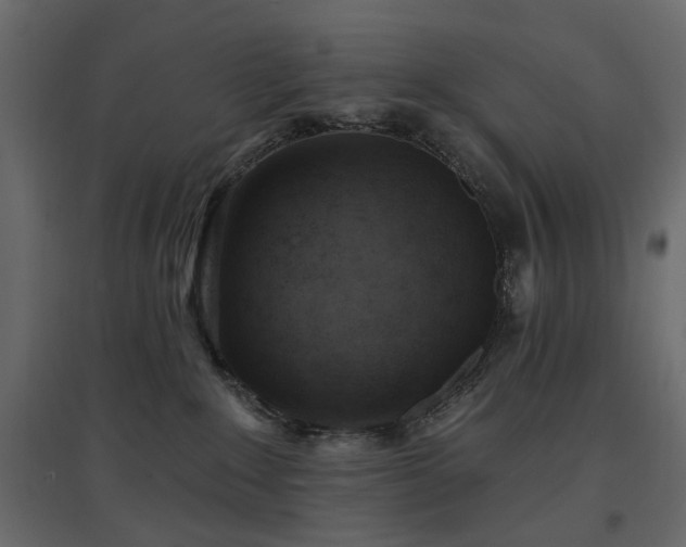 X0000097770235200803071324