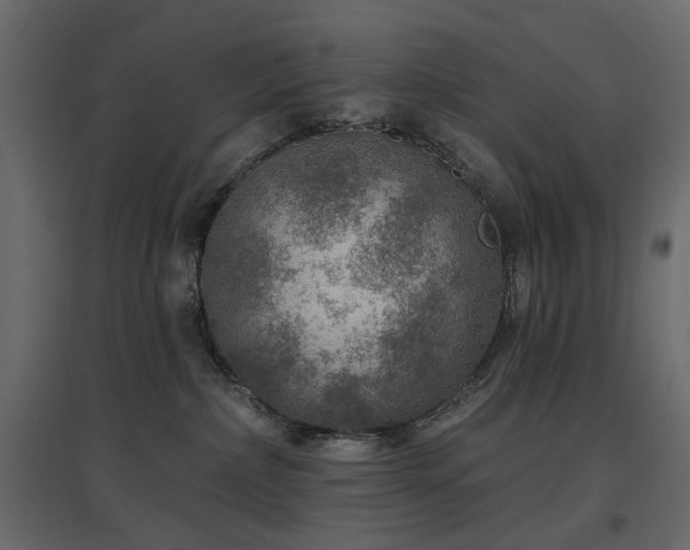 X0000097770236200803071324