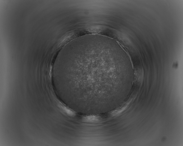 X0000097770237200803071324