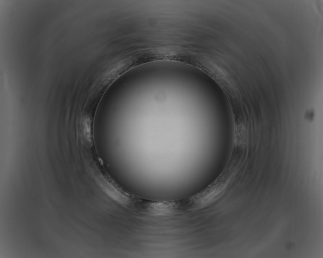 X0000097770238200803071324