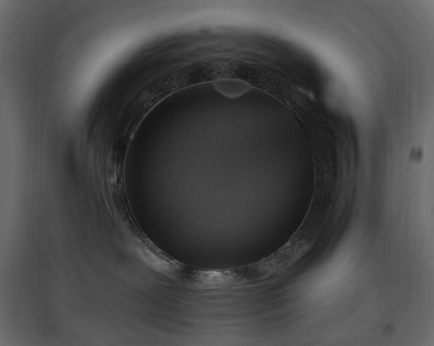 X0000097770239200803071324