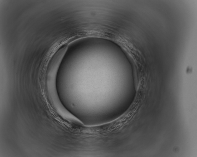X0000097770241200803071324