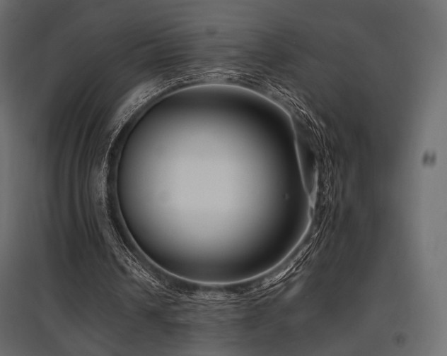 X0000097770242200803071324