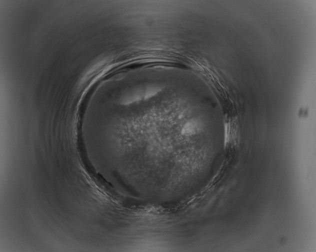 X0000097770243200803071324