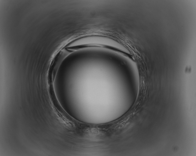 X0000097770244200803071324