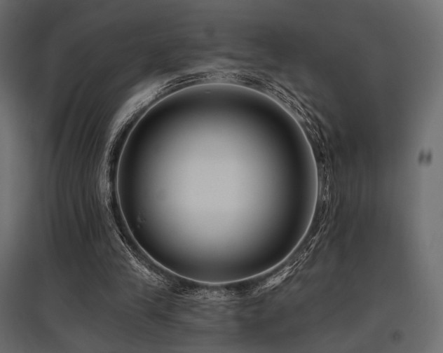 X0000097770245200803071324