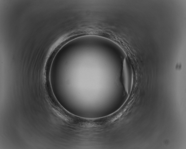 X0000097770246200803071324